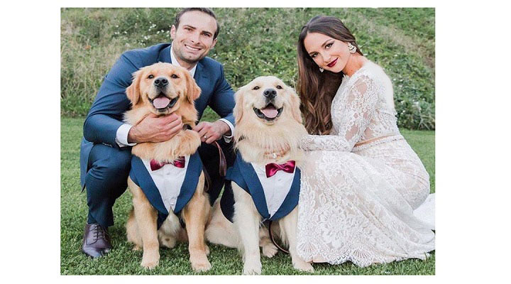 حضور حیوانات خانگی در مراسم عروسی